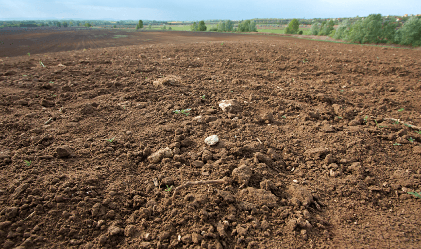 Soil Treatment